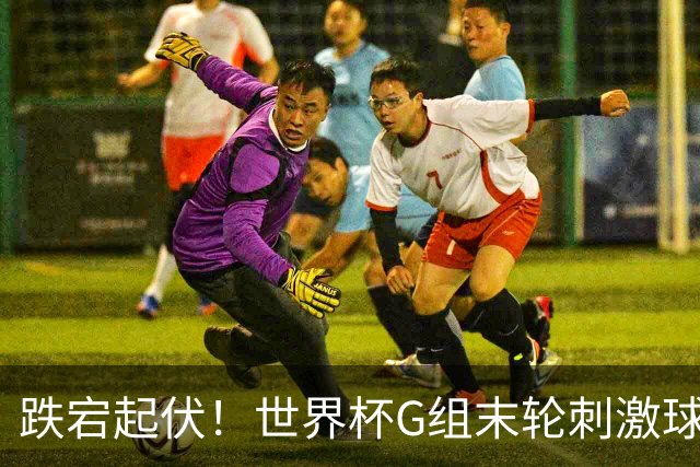 跌宕起伏！世界杯G组末轮刺激球迷心脏 伊朗狂喜过后遭打击